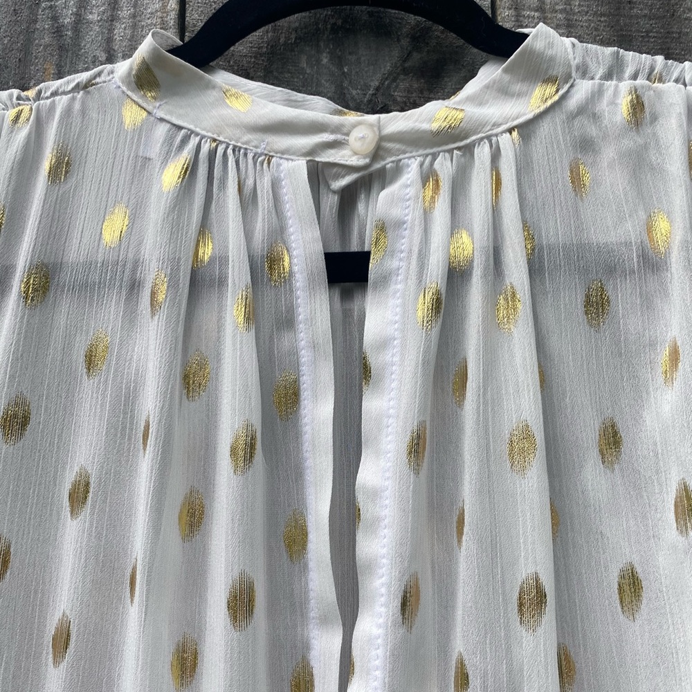 Plains & Prints Elegant White and Gold Polka Dot sheer Dress - Picture 10 of 11
